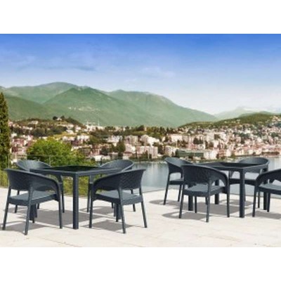 ΠΟΛΥΘΡΟΝΑ ART MAISON ARACHNE DARK GREY ΠΟΛ/ΝΙΟΥ-58X64X80εκ.