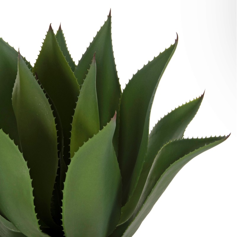 ΔΙΑΚΟΣΜΗΤΙΚΟ ΣΥΝΘΕΤΙΚΟ ΦΥΤΟ ART MAISON RIPTIDE ΠΛΑΤΥΦΥΛΛΗ ΑΓΑΥΗ ΣΕ ΓΛΑΣΤΡΑ Φ15x12,5-62Υεκ.