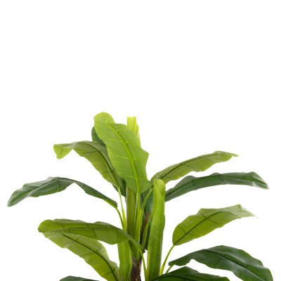 ΔΙΑΚΟΣΜΗΤΙΚΟ ΣΥΝΘΕΤΙΚΟ ΦΥΤΟ ART MAISON COULSON ΔΕΝΤΡΟ ΜΠΑΝΑΝΑΣ ΣΕ ΓΛΑΣΤΡΑ 123Υεκ.