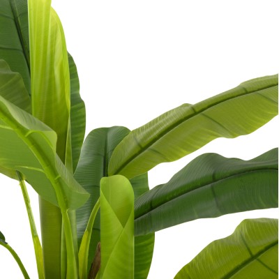 ΔΙΑΚΟΣΜΗΤΙΚΟ ΣΥΝΘΕΤΙΚΟ ΦΥΤΟ ART MAISON COULSON ΔΕΝΤΡΟ ΜΠΑΝΑΝΑΣ ΣΕ ΓΛΑΣΤΡΑ 123Υεκ.