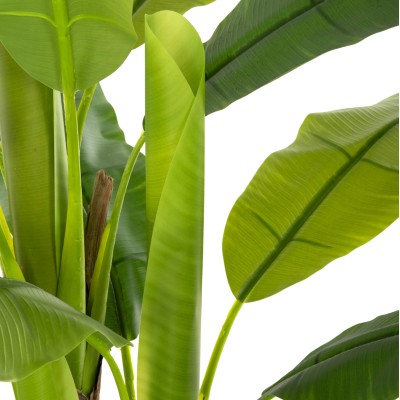 ΔΙΑΚΟΣΜΗΤΙΚΟ ΣΥΝΘΕΤΙΚΟ ΦΥΤΟ ART MAISON COULSON ΔΕΝΤΡΟ ΜΠΑΝΑΝΑΣ ΣΕ ΓΛΑΣΤΡΑ 123Υεκ.