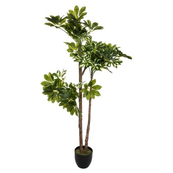Φυτό σε γλάστρα Art Maison Teramo - Green Brown Black (70x65x135εκ) Φυτό σε γλάστρα Art Maison Teramo - Green Brown Black (70x65x135εκ)
