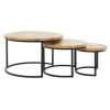 Τραπέζια σαλονιού σετ 3 τεμαχίων Art Maison Reedley - Walnut Black