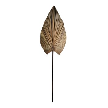 Διακοσμητικό φύλλο Art Maison Delphinium φυσικό palm leaf 150 εκ