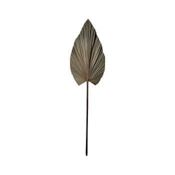 Διακοσμητικό φύλλο Art Maison Echinacea φυσικό palm leaf 130εκ