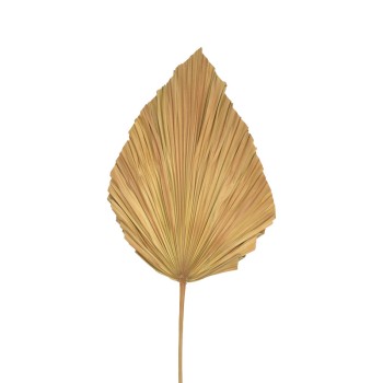 Διακοσμητικό φύλλο Art Maison Amaryllis palm leaf σε φυσική απόχρωση Υ135 εκ Διακοσμητικό φύλλο Art Maison Amaryllis palm leaf σε φυσική απόχρωση Υ135 εκ